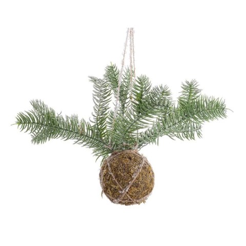 SFERA KOKEDAMA CON PINO INNEVA